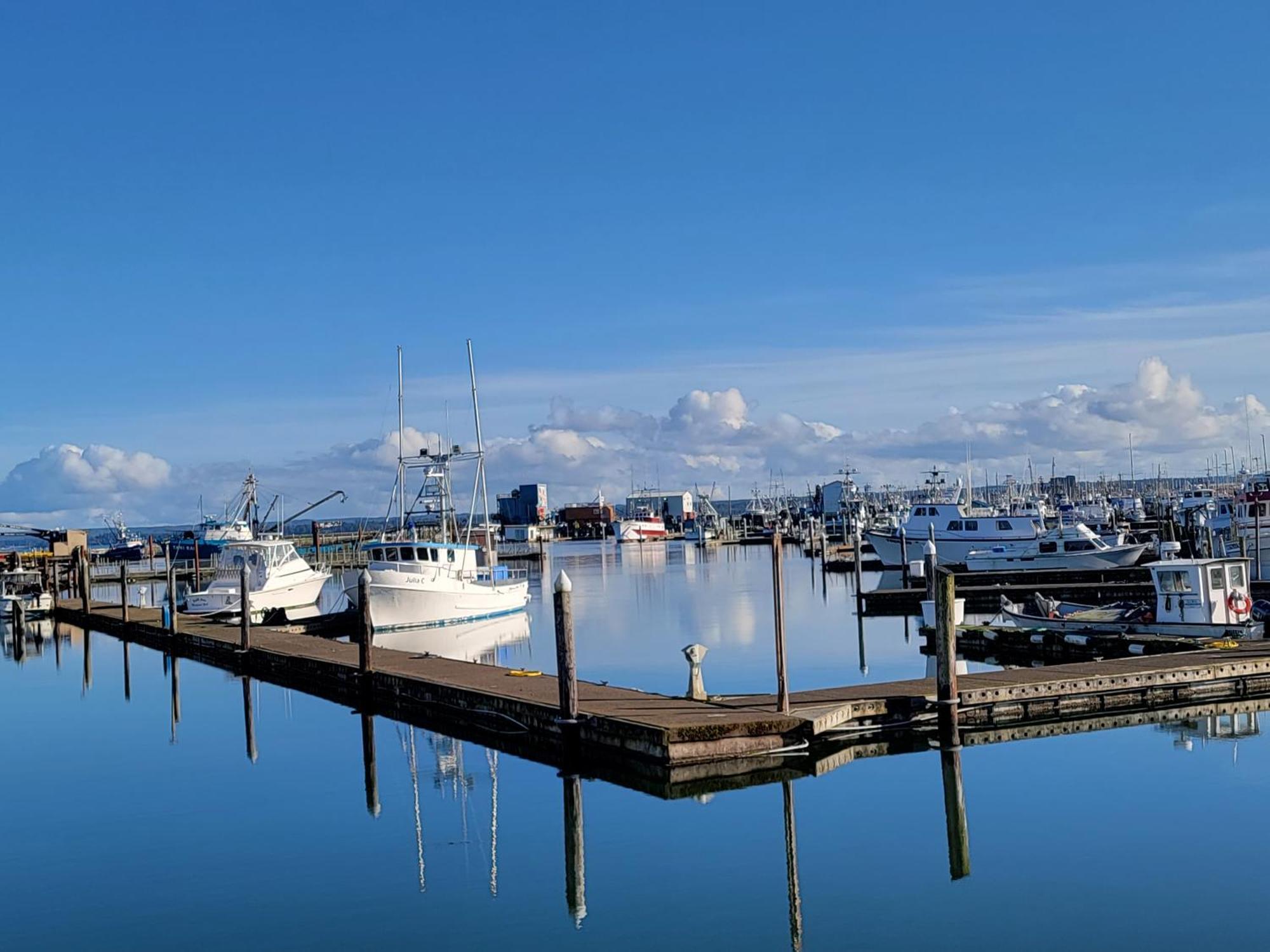 Saltwater Inn Westport Εξωτερικό φωτογραφία